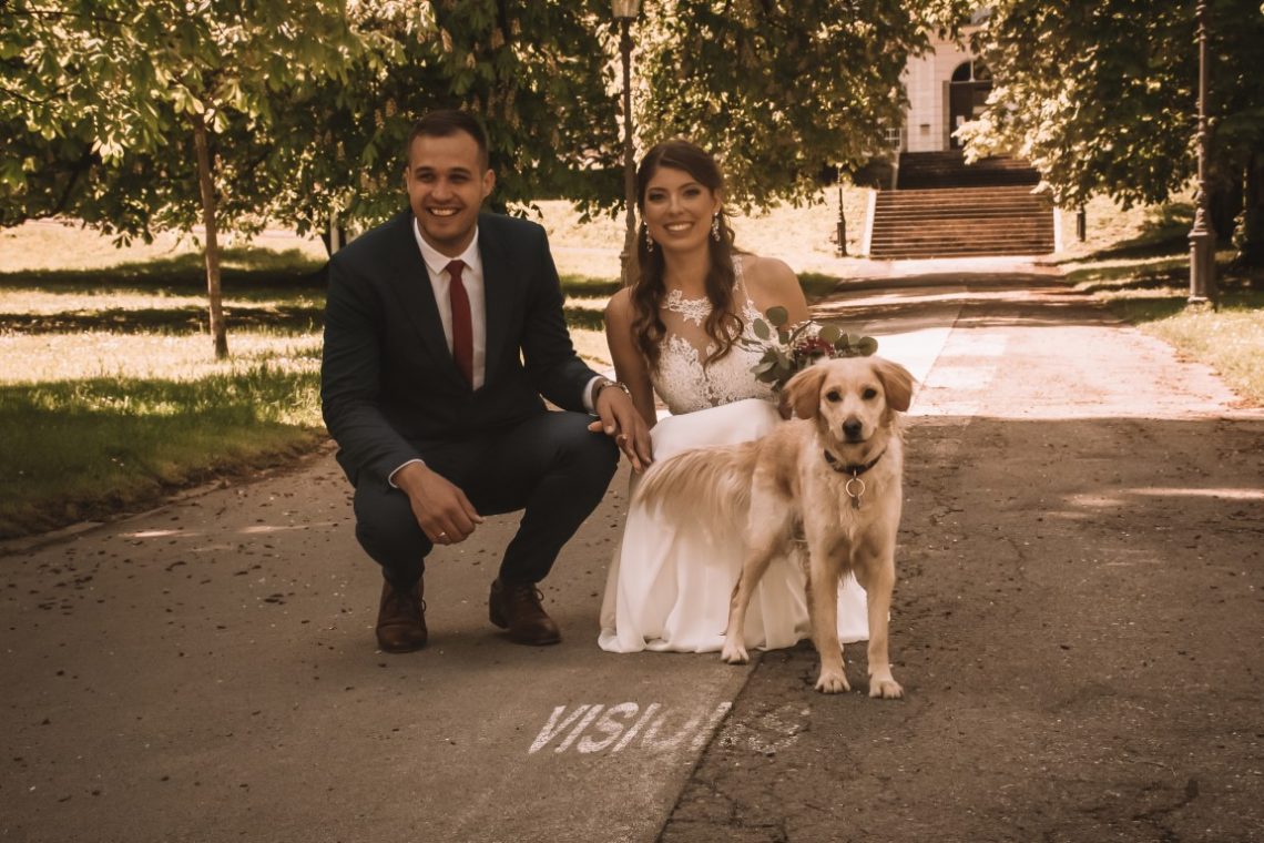 poročni fotograf cekinov grad tivoli poročno fotografiranje